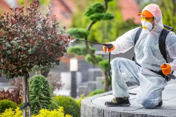 Herbal Pest Control​​ Services
