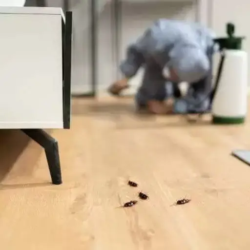 General Pest Control​ Service