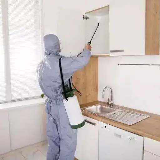 Residential Pest Control Service