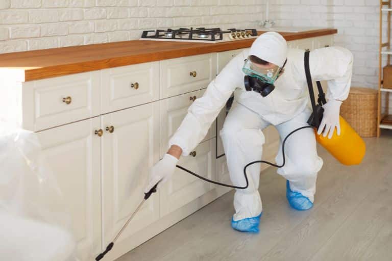 General Pest Control Service