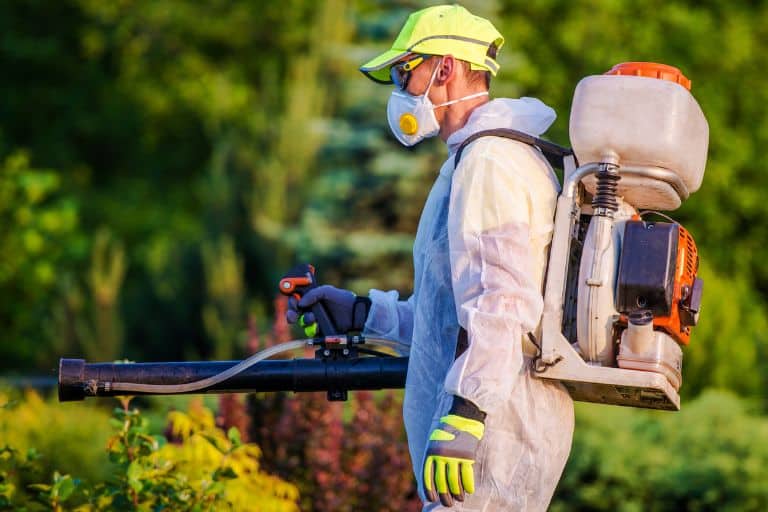 Herbal Pest Control Service