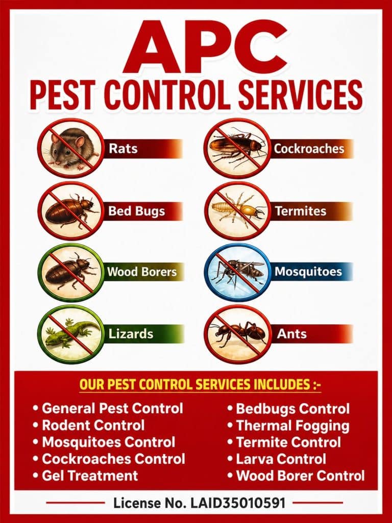 Pest Control Services Near Me in Mumbai, Navi Mumbai, Thane, and Vasai Virar